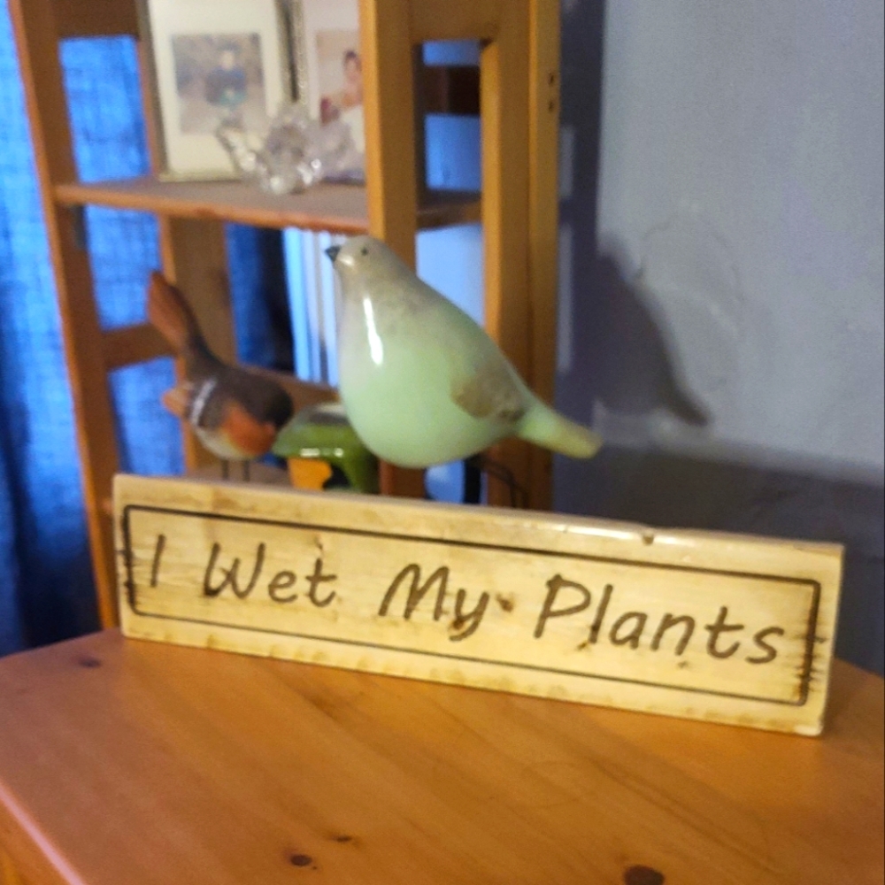I Wet My Plants Decor